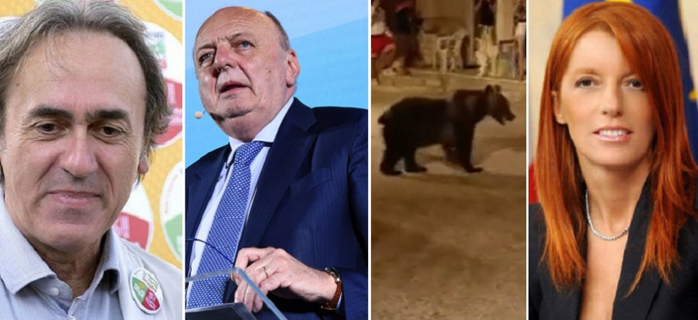 L'orsa Amarena uccisa a fucilate, il ministro: "Episodio grave"